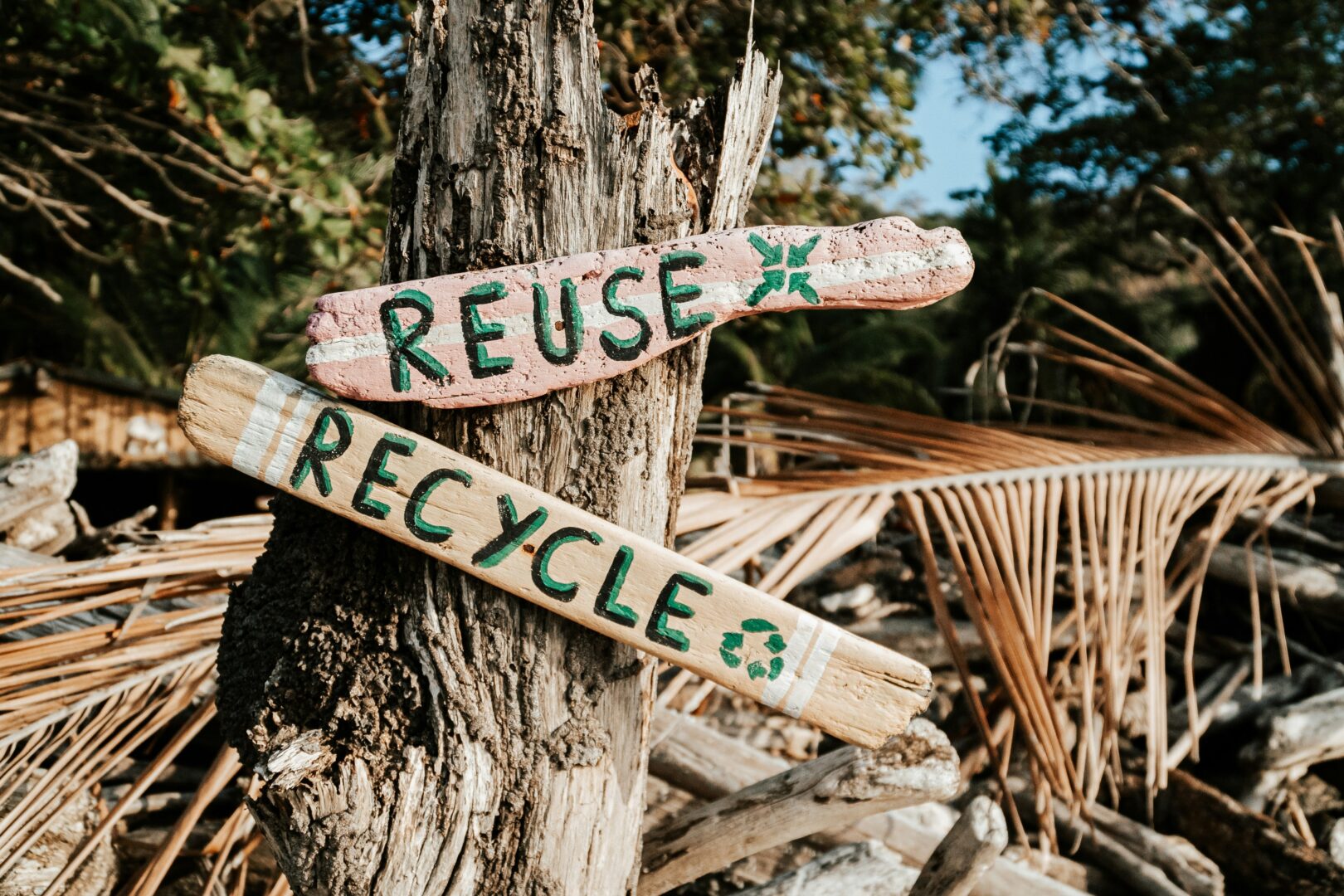 Sustainable Habits